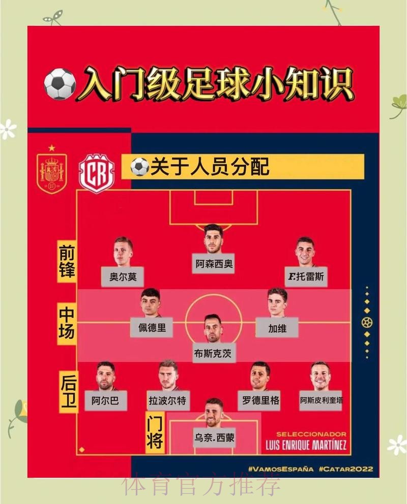 世界杯投注高清官方指南与技巧
